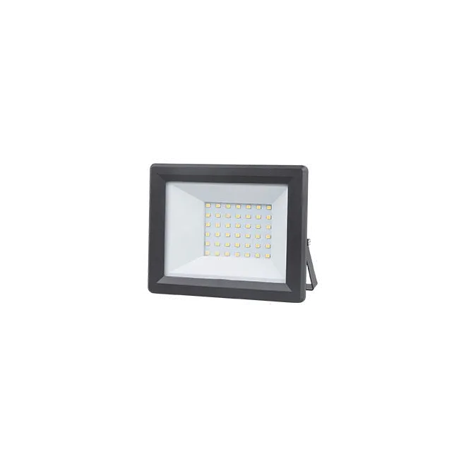 LED reflektor E-light 30W 6400K crni